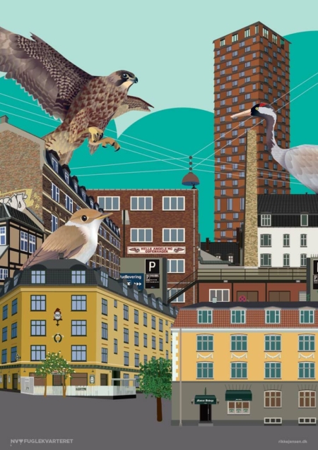 Fuglekvarteret collage 1 - falk, Nordbro